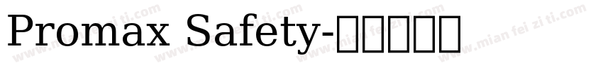 Promax Safety字体转换